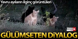 Yavru ayıların ilginç görüntüleri kameralara takıldı