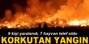 Erzurum'da korkutan yangın: 9 kişi yaralandı, 7 hayvan telef oldu