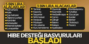 Esnafa hibe desteği başvuruları başladı