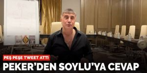 Sedat Peker'den Soylu'ya cevap: Peş peşe tweet attı