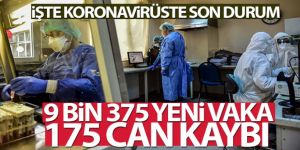 Türkiye'de son 24 saatte 9.375 koronavirüs vakası tespit edildi