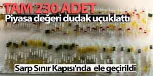 Sarp Sınır Kapısı'nda toplam 230 tüp arı ve kobra yılanı zehri ele geçirildi