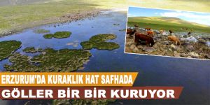 Erzurum'da korkutan kuraklık