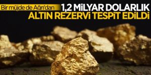Bakan Varank duyurdu! Ağrı'da altın ve gümüş rezervi bulundu