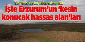 Erzurum’da ‘kesin korunacak hassas alan’ kategorisine bir yenisi eklendi