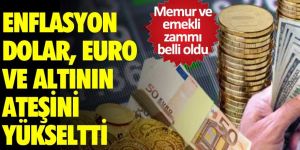 Enflasyon dolar, euro ve altının ateşini yükseltti