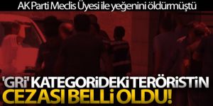 Karayazı AK Parti Meclis Üyesi ile yeğenini öldüren 'Gri' kategorideki teröristin cezası belli oldu!