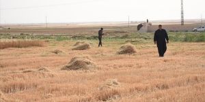 Hükümet harekete geçti! Kuraklığa karşı çiftçiyi koruma planı devrede
