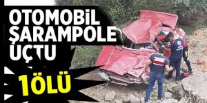 Pasinler'de feci kaza: 1 ölü