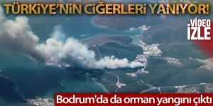 Bodrum'da da orman yangını çıktı