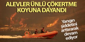 Alevler Çökertme koyuna dayandı! Araç alev alev yandı