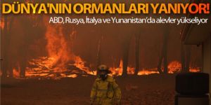 Dünya'nın ormanları yanıyor