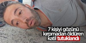 7 kişinin katil zanlısı tutuklandı
