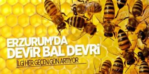 Erzurum'da arı yetiştiriciliğine ilgi artıyor