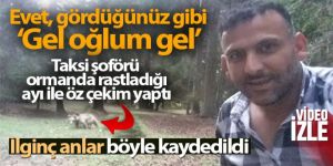 Taksi şoförü ormanda rastladığı ayı ile öz çekim yaptı sosyal medyayı salladı