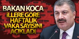 İşte illere göre haftalık koronavirüs vaka sayıları