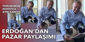 Erdoğan'ın torununun kedisiyle verdiği poz sosyal medyanın gündemine oturdu