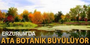 Ata Botanik Parkı'nda renk cümbüşü!