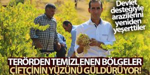 Bingöl'de terörden temizlenen bölgeler çiftçinin yüzünü güldürüyor