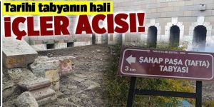 Erzurum'da Tarihi tabya hayvan barınağına dönüştü