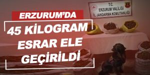 Erzurum’da 45 kilogram esrar ele geçirildi