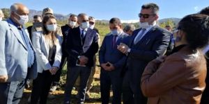 İspir Hanımeli Kadın Kooperatifi fasulye hasadını protokol ile yaptılar