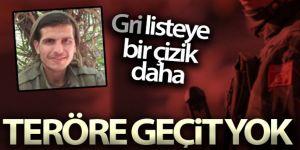 Terörden arananlarda gri listeye bir çizik daha