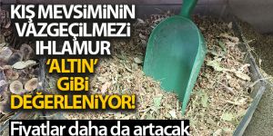 Ihlamur 'yeşil altın' olma yolunda ilerliyor