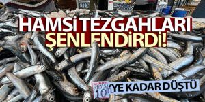 Hamsi tezgahları şenlendirdi, fiyat 10 liraya kadar düştü