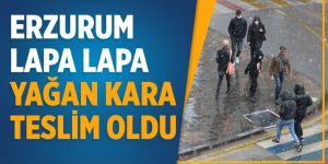 Erzurum kent merkezine mevsimin ilk karı yağdı