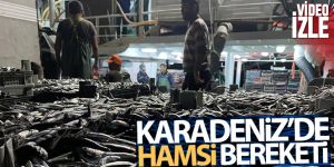 Karadeniz'de hamsi bereketi