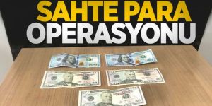 Erzurum'dan sahte paralarla Ardahan'a gittiler
