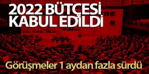 2022 bütçesi TBMM Plan ve Bütçe Komisyonu'nda kabul edildi