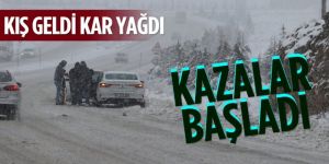 Yoğun sis ve buzlanma kazalara neden oldu