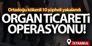 İstanbul'da organ ticareti operasyonu!
