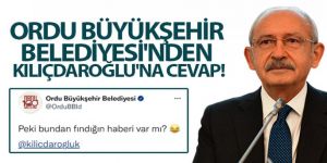 Ordu Büyükşehir Belediyesi'nden Kılıçdaroğlu'na cevap: 'Fındığın bundan haberi var mı?'