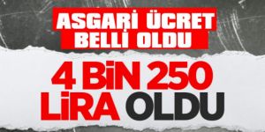 2022 Yılı Asgari Ücreti Açıklandı