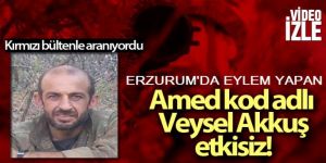 Gri listeye bir çizik daha!