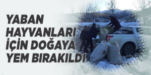 Yaban hayvanları için doğaya yem bırakıldı