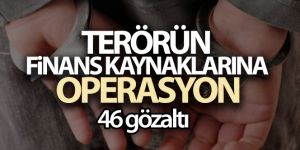 Şırnak'ta terörün finans kaynaklarına operasyon: 46 gözaltı