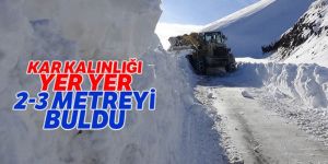 2 bin 885 rakımlı Palandöken geçidinde zorlu mücadele