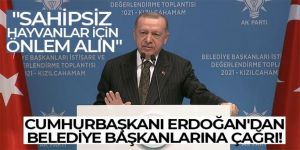 Erdoğan'dan belediye başkanlarına çağrı: Sahipsiz hayvanlar için önlem alın