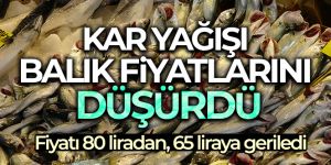 Kar yağdı, fiyatı 65 liraya geriledi