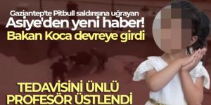 Gaziantep'te Pitbull saldırısına uğrayan Asiye'den yeni haber!