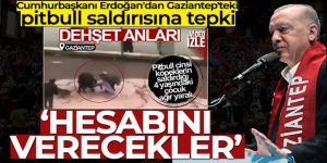 Cumhurbaşkanı Erdoğan: 'Yavrumuz için gereken yapılacak, hesabını verecekler'