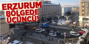 Erzurum Kasım ayı taşıt varlığı açıklandı