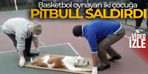 Sultangazi'de basketbol oynayan iki çocuğa pitbull cinsi köpek saldırdı