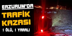 Otomobil şarampole yuvarlandı: 1 ölü, 1 yaralı