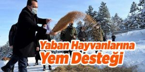 Yaban hayvanlarının yaşam alanlarına yem desteği