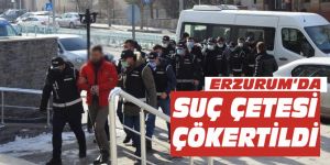 Erzurum’da suç çetesi çökertildi